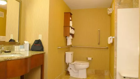 Hampton Inn Tomah | Wisconsin - Black River Şelaleleri (ve civarı) - Tomah