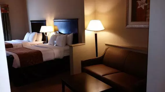 Holiday Inn Express Mobile West - I-65 | Alabama - Mobile (ve civarı) - Mobile