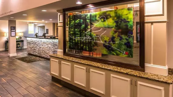 Hilton Garden Inn Detroit Southfield | Michigan - Detroit (ve civarı) - Southfield