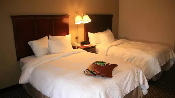 Hampton Inn Detroit-Madison Heights/South Troy | Michigan - Detroit (ve civarı) - Madison Heights