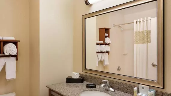 Hampton Inn & Suites Detroit/Chesterfield | Michigan - Detroit (ve civarı) - Chesterfield