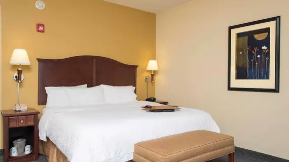 Hampton Inn & Suites Indianapolis-Airport | Indiana - Indianapolis (ve civarı) - Indianapolis