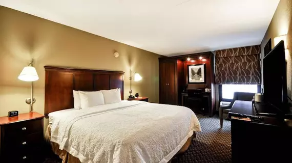 Hampton Inn Detroit-Madison Heights/South Troy | Michigan - Detroit (ve civarı) - Madison Heights