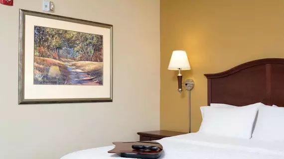 Hampton Inn & Suites Indianapolis-Airport | Indiana - Indianapolis (ve civarı) - Indianapolis