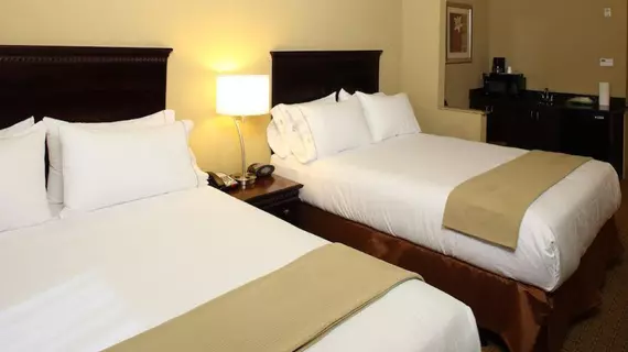 Holiday Inn Express Mobile West - I-65 | Alabama - Mobile (ve civarı) - Mobile