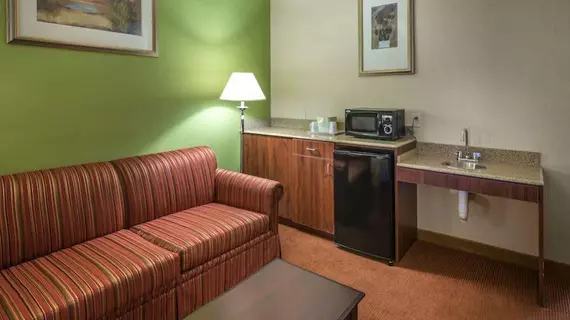 Holiday Inn Express Hotel & Suites Minden | Nevada - Carson City (ve civarı) - Minden