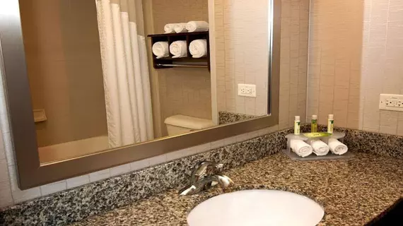 Holiday Inn Express Hotel & Suites Wichita Northeast | Kansas - Wichita (ve civarı) - Viçita