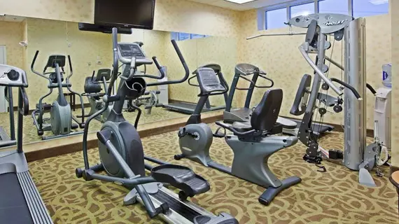 Holiday Inn Florence | Kentucky - Covington (ve civarı) - Floransa