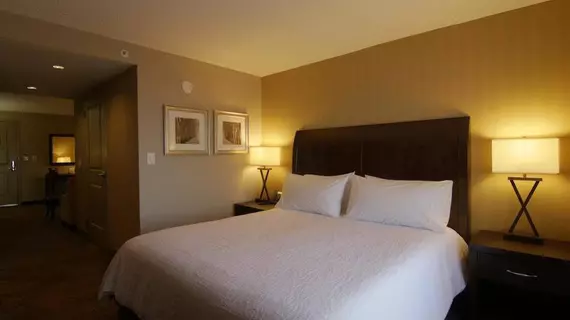 Hilton Garden Inn Toronto/Brampton | Ontario - Toronto (ve civarı) - Brampton