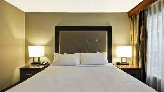 Homewood Suites by Hilton Atlanta-Galleria/Cumberland | Georgia - Atlanta (ve civarı) - Atlanta