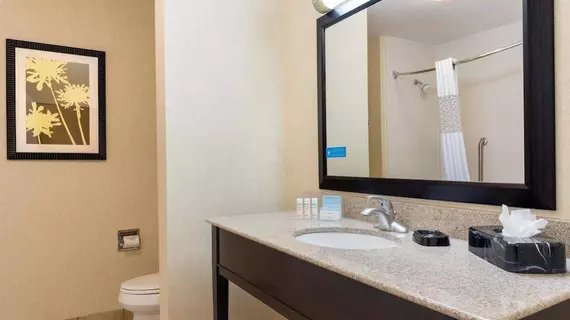 Hampton Inn Detroit Roseville | Michigan - Detroit (ve civarı) - Clinton Township