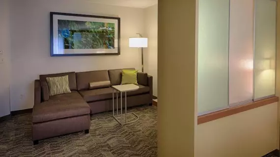 SpringHill Suites Albany-Colonie | New York - Albany (ve civarı) - Albany