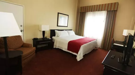 Holiday Inn Matamoros | Tamaulipas - Matamoros (ve civarı) - Matamoros