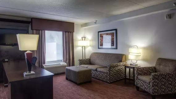 Hampton Inn & Suites Detroit/Airport Romulus | Michigan - Detroit (ve civarı) - Romulus