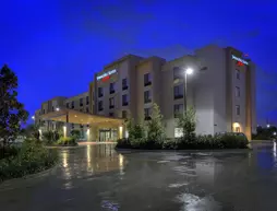 SpringHill Suites by Marriott Baton Rouge North / Airport | Louisiana - Baton Rouge (ve civarı) - Baton Rouge