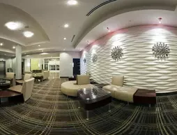 Holiday Inn Hotel & Suites Detroit Metro Airport | Michigan - Detroit (ve civarı) - Romulus