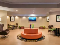 Fairfield Inn by Marriott Anaheim Resort | Kaliforniya - Orange County - Anaheim - Anaheim Resort