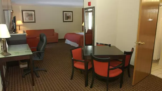 Holiday Inn Hotel & Suites Owatonna | Minnesota - Owatonna (ve civarı) - Owatonna