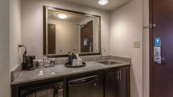 Hampton Inn & Suites Detroit/Airport Romulus | Michigan - Detroit (ve civarı) - Romulus