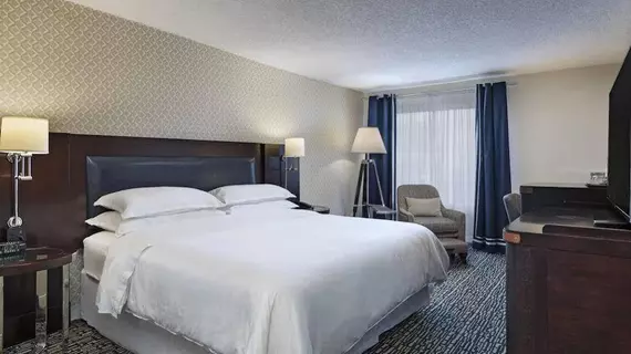 Sheraton Bellevue Hotel | Washington - Seattle (ve dolayları) - Bellevue