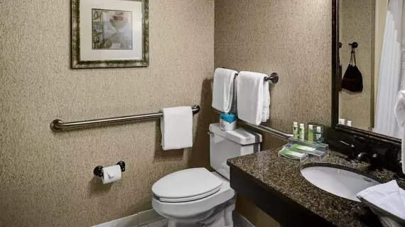 Holiday Inn Express Hotel & Suites Atlanta Buckhead | Georgia - Atlanta (ve civarı) - Atlanta - Buckhead