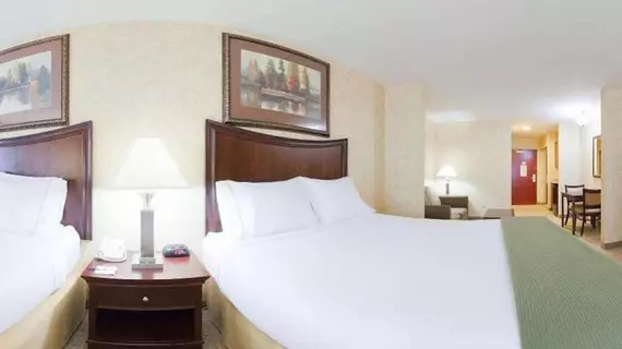 Holiday Inn Express Hotel & Suites Bethlehem Airport/Allentown area | Pensilvanya - Bucks County - Allentown (ve civarı) - Bethlehem