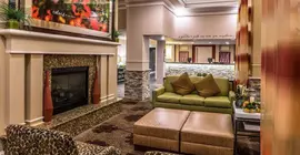 Hilton Garden Inn Detroit Southfield | Michigan - Detroit (ve civarı) - Southfield