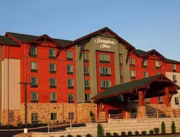 HAMPTON INN PIGEON FORGE | Tennessee - Gatlinburg - Pigeon Forge (ve civarı) - Pigeon Forge