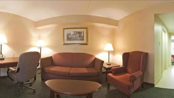 Holiday Inn Express Hotel & Suites Milton | Ontario - Milton