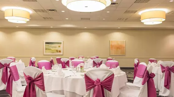 Holiday Inn Chicago - Elk Grove | İllinois - Elk Grove Village