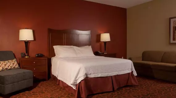 Hampton Inn Tomah | Wisconsin - Black River Şelaleleri (ve civarı) - Tomah