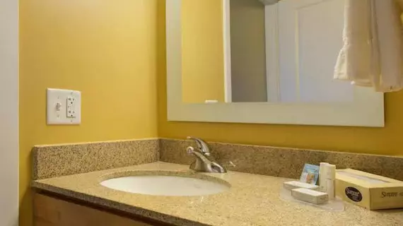 TownePlace Suites by Marriott Kansas City Overland Park | Kansas - Kansas City (ve civarı) - Overland Park