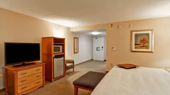 Hampton Inn & Suites Guelph | Ontario - Kitchener (ve civarı) - Guelph