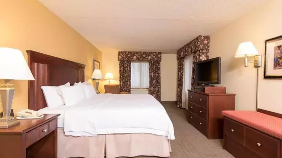 Hampton Inn Schenectady | New York - Albany (ve civarı) - Schenectady