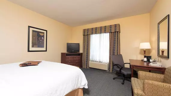 Hampton Inn & Suites Indianapolis-Airport | Indiana - Indianapolis (ve civarı) - Indianapolis