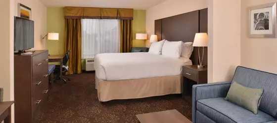 HOLIDAY INN EXPRESS & SUITES DEARBORN SW - DETROIT AREA | Michigan - Detroit (ve civarı) - Dearborn