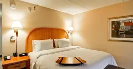 Hampton Inn & Suites Guelph | Ontario - Kitchener (ve civarı) - Guelph