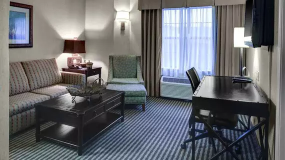 Holiday Inn Express Hotel & Suites Atlanta Buckhead | Georgia - Atlanta (ve civarı) - Atlanta - Buckhead