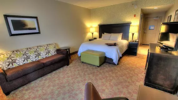 HAMPTON INN PIGEON FORGE | Tennessee - Gatlinburg - Pigeon Forge (ve civarı) - Pigeon Forge