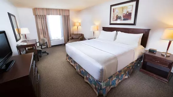 Holiday Inn Hotel & Suites-West Edmonton | Alberta - Edmonton (ve civarı) - Edmonton - Kuzeybatı Edmonton