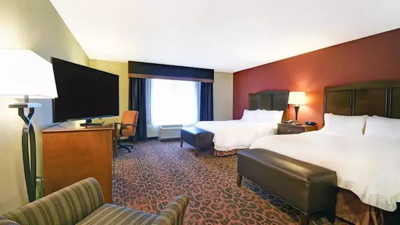 Hampton Inn Beloit | Wisconsin - Janesville (ve civarı) - Beloit