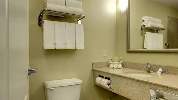 Holiday Inn Express Hotel & Suites Kansas City Sports Complex | Missouri - Kansas City (ve civarı) - Kansas