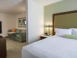 SpringHill Suites by Marriott Baton Rouge South | Louisiana - Baton Rouge (ve civarı) - Baton Rouge