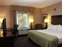 Holiday Inn Budd Lake - Rockaway Area | New Jersey - Washington Township - Parsippany (ve civarı) - Budd Lake - Mount Olive