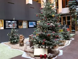 Holiday Inn Schindellegi-Zurichsee | Schwyz Kantonu - Feusisberg - Schindellegi