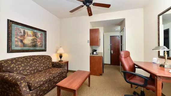 Holiday Inn Express Hotel & Suites Las Cruces | New Mexico - Las Cruces (ve civarı) - Las Cruces