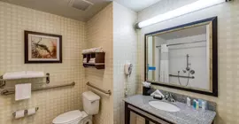 Hampton Inn & Suites Detroit/Airport Romulus | Michigan - Detroit (ve civarı) - Romulus