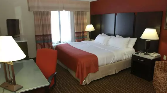 Holiday Inn Hotel & Suites Owatonna | Minnesota - Owatonna (ve civarı) - Owatonna