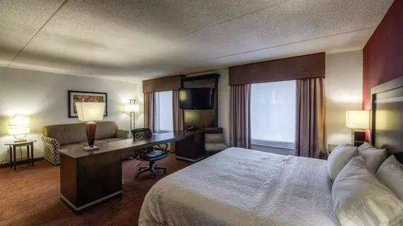 Hampton Inn & Suites Detroit/Airport Romulus | Michigan - Detroit (ve civarı) - Romulus