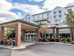 Hilton Garden Inn Plymouth | Michigan - Detroit (ve civarı) - Plymouth